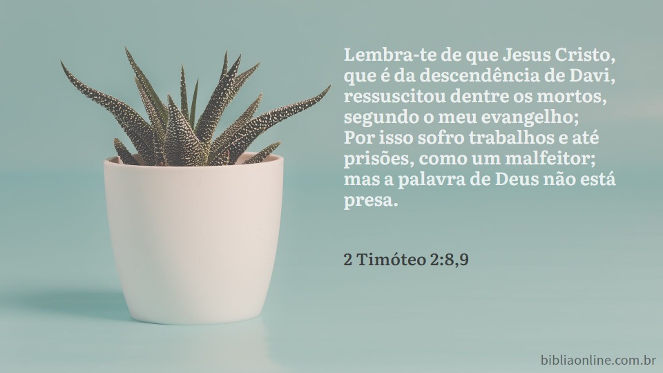 2 Timóteo 2:8-9